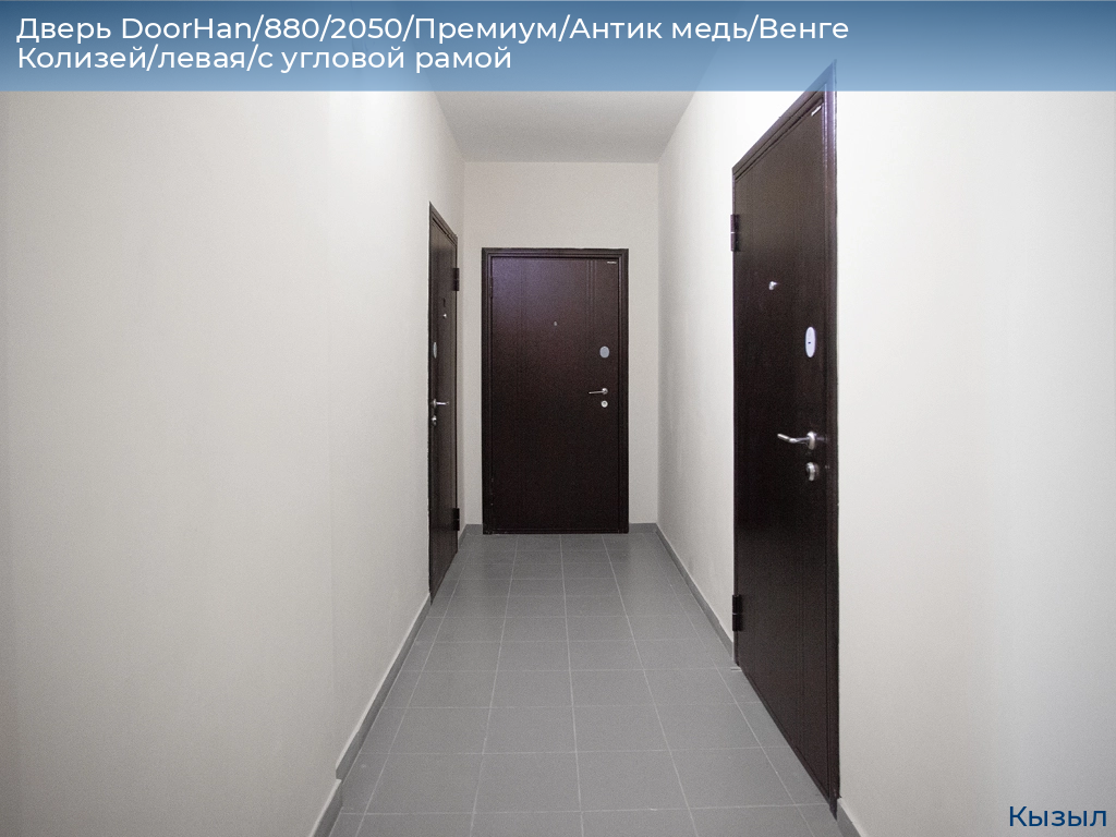 Дверь DoorHan/880/2050/Премиум/Антик медь/Венге Колизей/левая/с угловой рамой, kyzyl.doorhan.ru