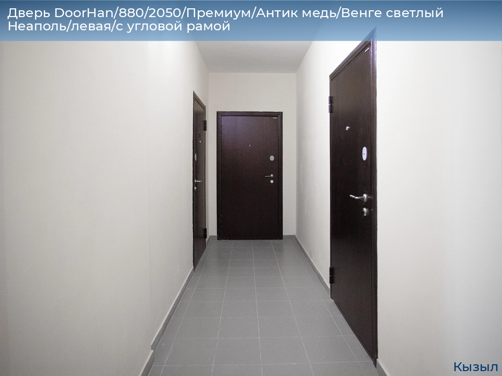 Дверь DoorHan/880/2050/Премиум/Антик медь/Венге светлый Неаполь/левая/с угловой рамой, kyzyl.doorhan.ru