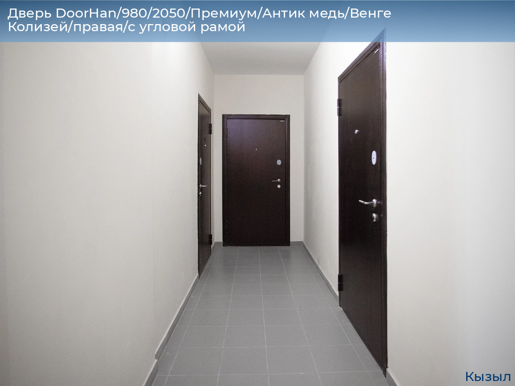 Дверь DoorHan/980/2050/Премиум/Антик медь/Венге Колизей/правая/с угловой рамой, kyzyl.doorhan.ru